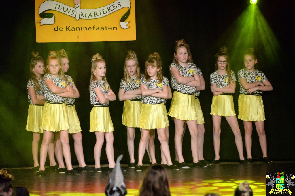 ../Images/Dansmariekefestival 2020 293.jpg